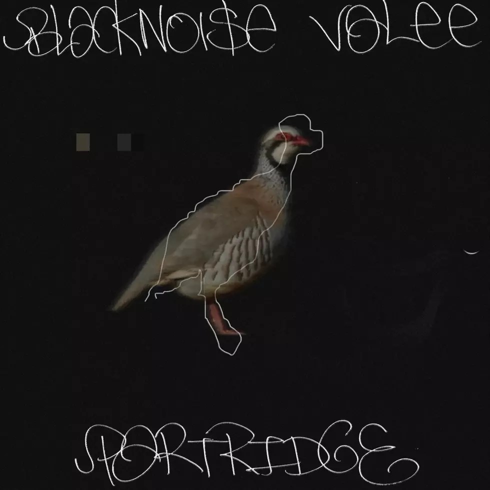 Valee and Black Noi$e 'Partridge' Album Cover