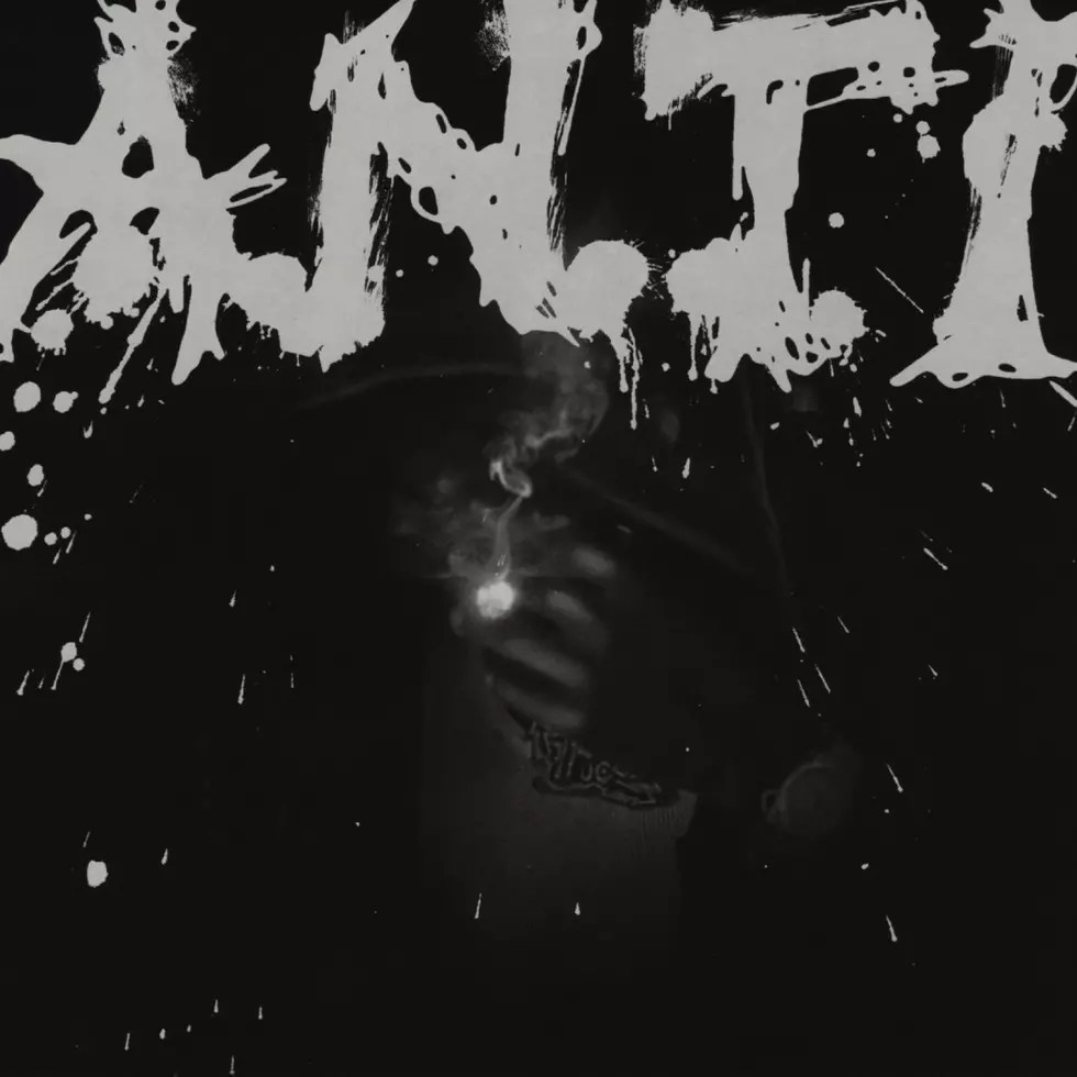 BigBabyGucci 'Anti' Album Cover