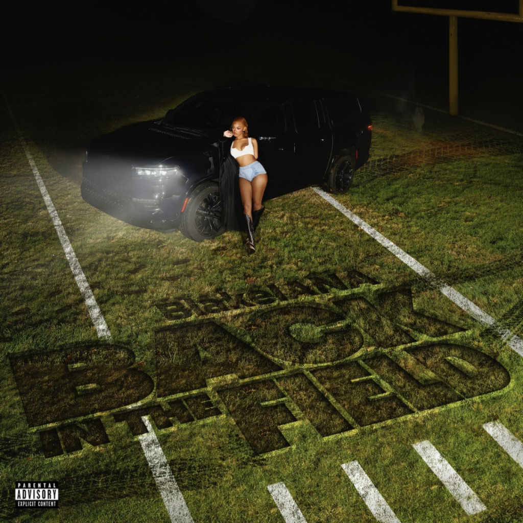 BlakeIANA - 'Back In The Field' Cover Art