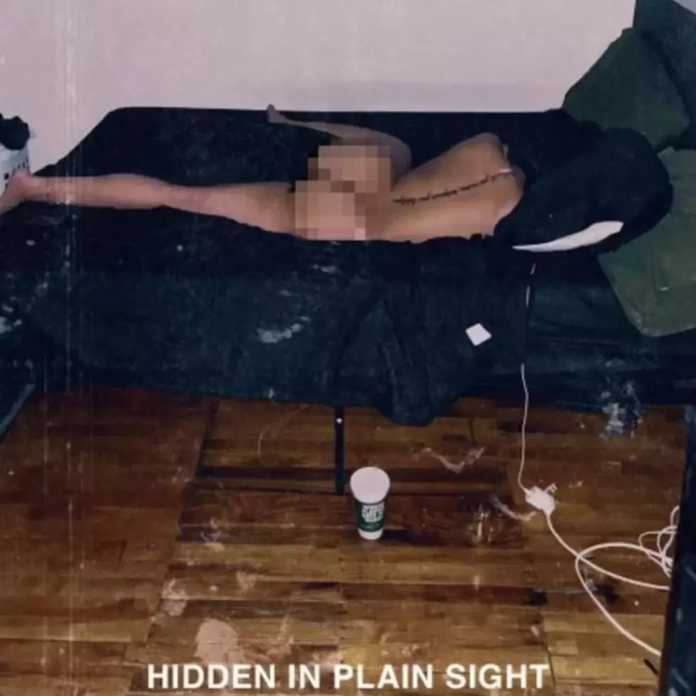 Boldy James - 'Hidden In Plain Sight' Album Cover