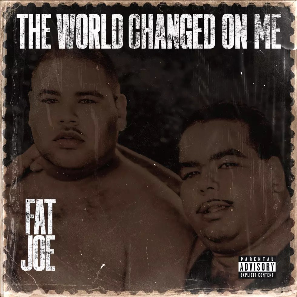 Fat Joe - 'The World Changed On Me' Album Cover