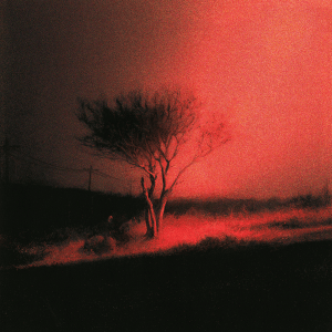 Joji - 'Piss In The Wind' Cover Art